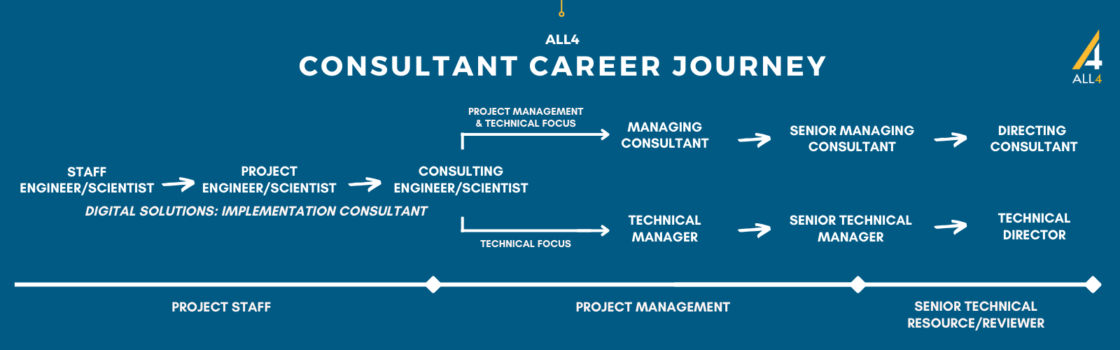 Consultant Career Journey