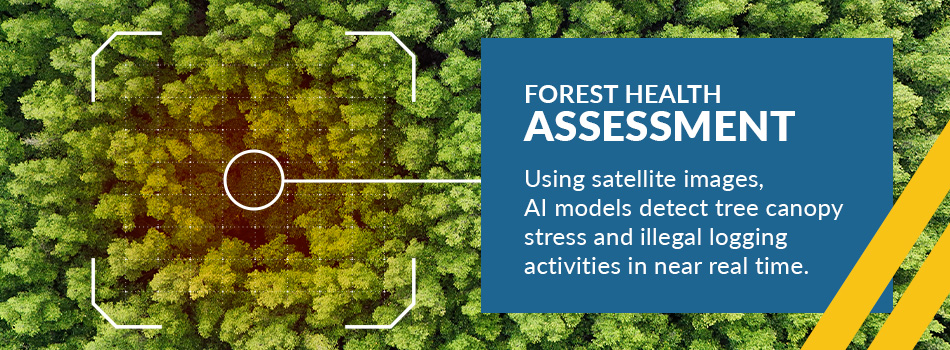 forest health assessment